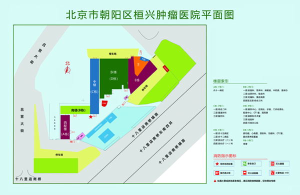 黄色艹逼网站免费北京市朝阳区桓兴肿瘤医院平面图